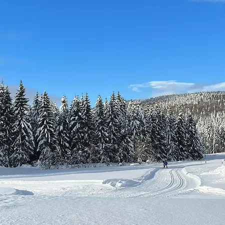 Schoeneben Lejlighed Ulrichsberg