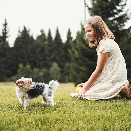Lejlighed Schoeneben Ulrichsberg